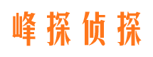 淮阳找人公司